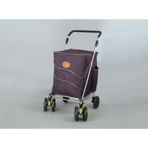 Deluxe Shopping Trolley